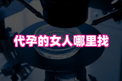微信二维码